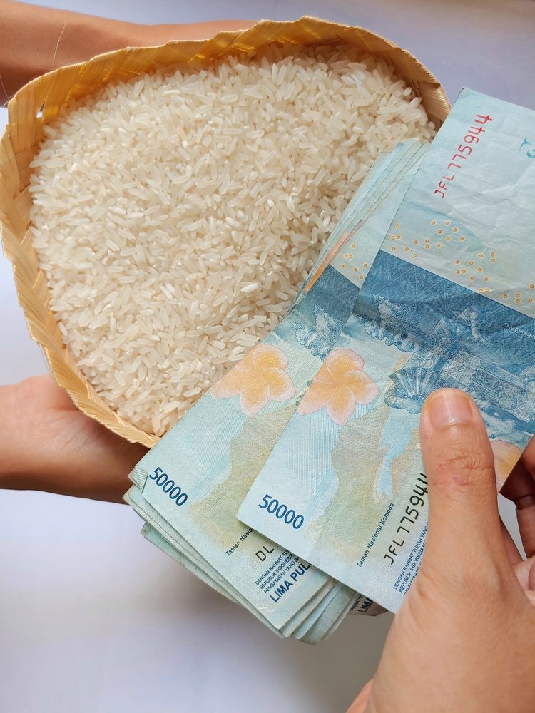 Closeup,Hands,Holding,Bowl,Of,Rice,And,Indonesian,Money,Banknotes